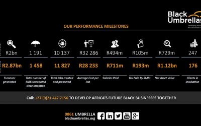 Impressive growth of Black SMEs